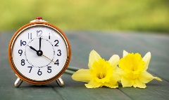 spring clock spring clock